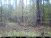Picture of Beaverdam Farm North - Wilkes County, GA