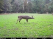 Picture of Beaverdam Farm North - Wilkes County, GA