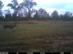 Picture of Beaverdam Farm North - Wilkes County, GA