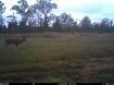 Picture of Beaverdam Farm North - Wilkes County, GA