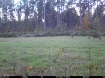 Picture of Beaverdam Farm North - Wilkes County, GA