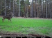 Picture of Beaverdam Farm North - Wilkes County, GA