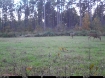 Picture of Beaverdam Farm North - Wilkes County, GA