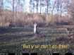 Picture of Beaverdam Farm North - Wilkes County, GA