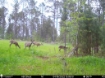 Picture of Beaverdam Farm North - Wilkes County, GA