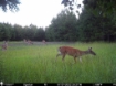 Picture of Beaverdam Farm North - Wilkes County, GA