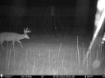 Picture of Beaverdam Farm North - Wilkes County, GA