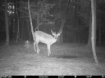 Picture of Beaverdam Farm North - Wilkes County, GA