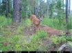 Picture of Beaverdam Farm North - Wilkes County, GA