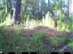 Picture of Beaverdam Farm North - Wilkes County, GA