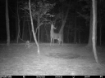 Picture of Beaverdam Farm North - Wilkes County, GA