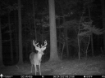 Picture of Beaverdam Farm North - Wilkes County, GA