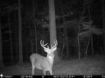Picture of Beaverdam Farm North - Wilkes County, GA