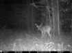 Picture of Beaverdam Farm North - Wilkes County, GA