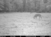Picture of Beaverdam Farm North - Wilkes County, GA