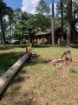 Picture of Beaverdam Farm North - Wilkes County, GA