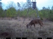 Picture of Beaverdam Farm North - Wilkes County, GA