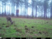 Picture of Beaverdam Farm North - Wilkes County, GA
