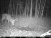 Picture of Beaverdam Farm North - Wilkes County, GA
