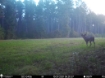 Picture of Beaverdam Farm North - Wilkes County, GA
