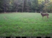 Picture of Beaverdam Farm North - Wilkes County, GA