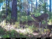 Picture of Beaverdam Farm North - Wilkes County, GA