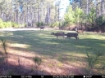 Picture of Beaverdam Farm North - Wilkes County, GA