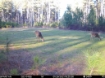 Picture of Beaverdam Farm North - Wilkes County, GA