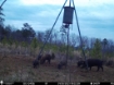 Picture of Beaverdam Farm North - Wilkes County, GA