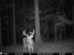 Picture of Beaverdam Farm North - Wilkes County, GA