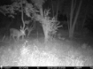 Picture of Beaverdam Farm North - Wilkes County, GA