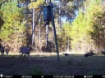 Picture of Beaverdam Farm North - Wilkes County, GA