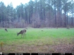 Picture of Beaverdam Farm North - Wilkes County, GA