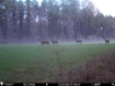 Picture of Beaverdam Farm North - Wilkes County, GA