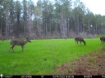 Picture of Beaverdam Farm North - Wilkes County, GA