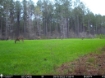 Picture of Beaverdam Farm North - Wilkes County, GA