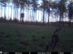 Picture of Beaverdam Farm North - Wilkes County, GA