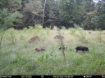 Picture of Beaverdam Farm North - Wilkes County, GA
