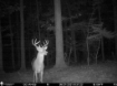 Picture of Beaverdam Farm North - Wilkes County, GA