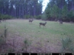 Picture of Beaverdam Farm North - Wilkes County, GA
