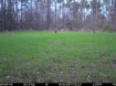 Picture of Beaverdam Farm North - Wilkes County, GA