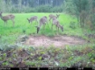 Picture of Beaverdam Farm North - Wilkes County, GA