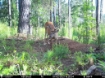 Picture of Beaverdam Farm North - Wilkes County, GA