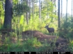 Picture of Beaverdam Farm North - Wilkes County, GA