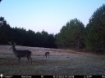 Picture of Beaverdam Farm North - Wilkes County, GA