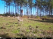 Picture of Beaverdam Farm North - Wilkes County, GA