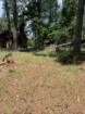 Picture of Beaverdam Farm North - Wilkes County, GA
