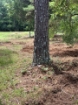 Picture of Beaverdam Farm North - Wilkes County, GA