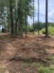 Picture of Beaverdam Farm North - Wilkes County, GA