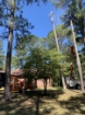 Picture of Beaverdam Farm North - Wilkes County, GA